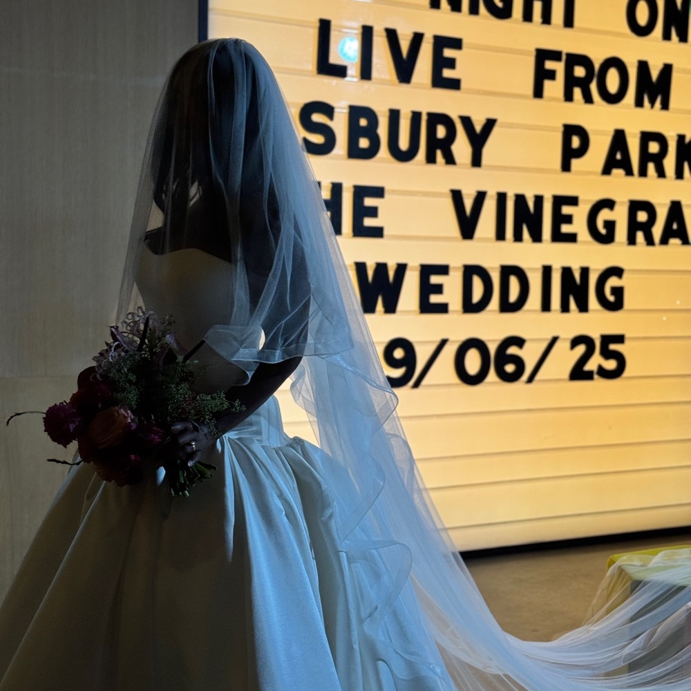 Elegant horsehair edge blusher cathedral veil